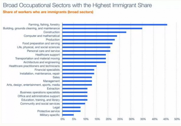Инфографика по занятости иностранцев в Америке