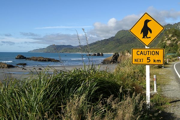 Знак, предупреждающий о пингвинах на дороге