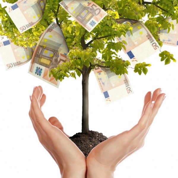 дерево с деньгами
