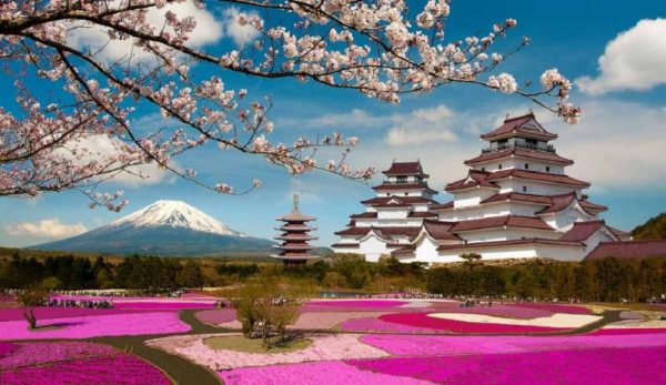 Япония - удивительная страна, где гармонично сочетаются современность и давние традиции