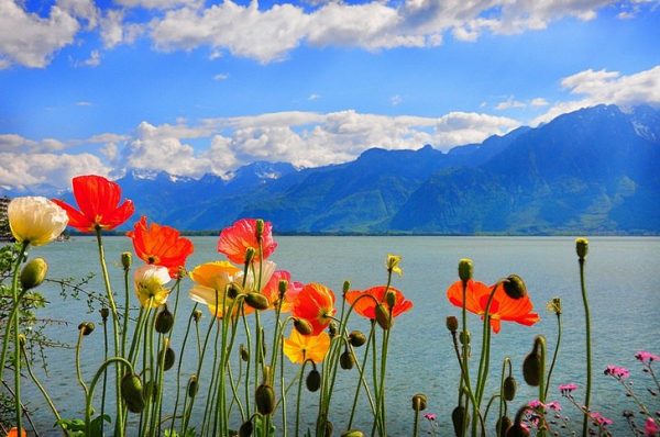 Женевское озеро в Швейцарии