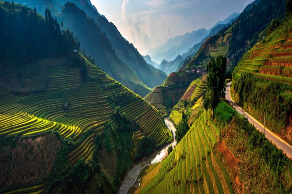 Рисовые поля Вьетнама