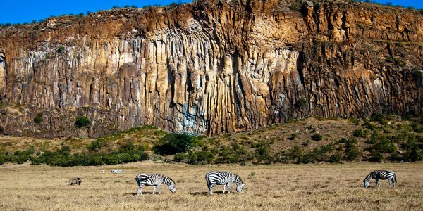 Зебры в Национальном парке Врата Ада