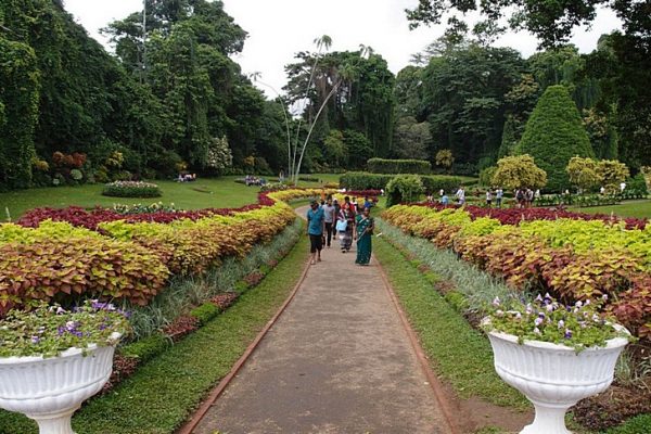 Королевский ботанический сад в Парадении