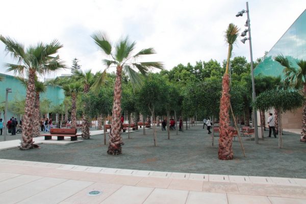 Парк «Пальмовый сюрприз» в Малаге