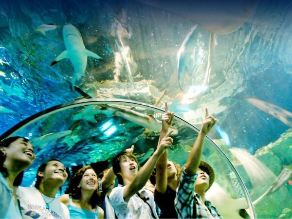 Океанариум Hangzhou Underwater World в Ханчжоу