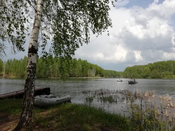 Озеро Сингер в Гороховецком районе
