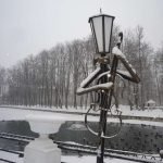 Живые фонари в Лопатинском саду: виолончелист