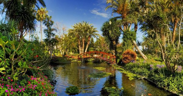 Ботанический сад Пуэрто-де-ла-Крус